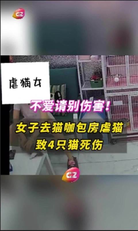 第205页